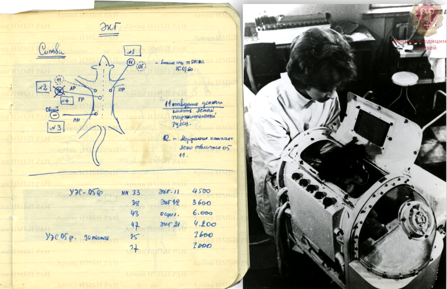 Дневник: схемы ЭКГ и крепление электродов